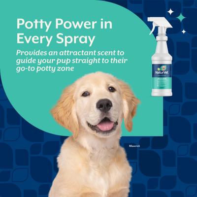 Show full view: NaturVet Potty Here Training Aid, 32-oz bottle slide 3 of 8
