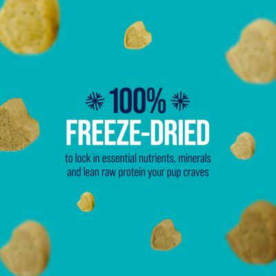 Show full view: Stewart Raw Naturals Beef Limited-Ingredient Adult Freeze-Dried Dog Food, 8-oz bag slide 7 of 10