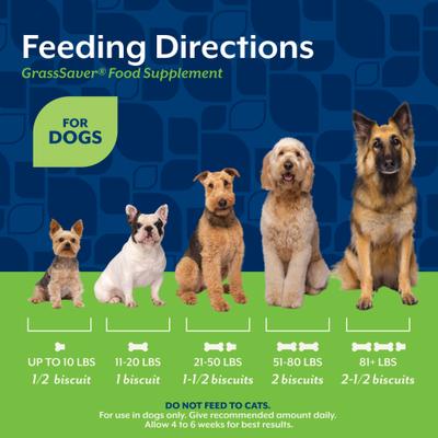 Show full view: NaturVet GrassSaver Biscuits Peanut Butter Flavored Lawn Protection Supplement for Dogs, 22.2-oz box slide 10 of 12