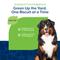 Show in main carousel: NaturVet GrassSaver Biscuits Peanut Butter Flavored Lawn Protection Supplement for Dogs, 22.2-oz box slide 7 of 12