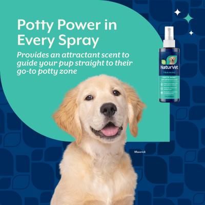 Show full view: NaturVet Potty Here Training Aid, 8-oz bottle slide 3 of 8