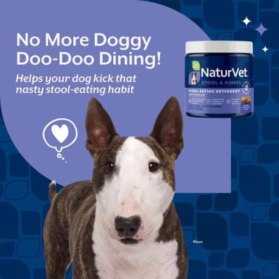 Show full view: NaturVet Coprophagia Plus Breath Aid Soft Chews Coprophagia Supplement for Dogs, 130 count slide 4 of 11