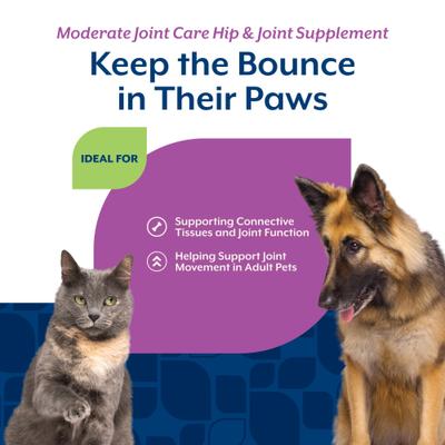 Show full view: NaturVet Moderate Care Glucosamine DS Plus Chewable Tablets Joint Supplement for Dogs, 120 count slide 5 of 11