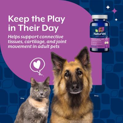 Show full view: NaturVet Moderate Care Glucosamine DS Plus Chewable Tablets Joint Supplement for Dogs, 120 count slide 4 of 11