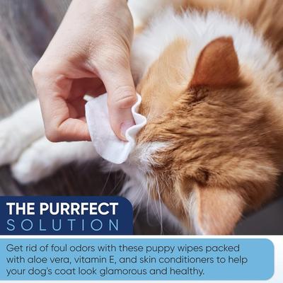 Show full view: Magicare 8 x 8-in Unscented Ultra Thick & Soft with Hypoallergenic Formula Dog Wipes, White, 400 count slide 5 of 9