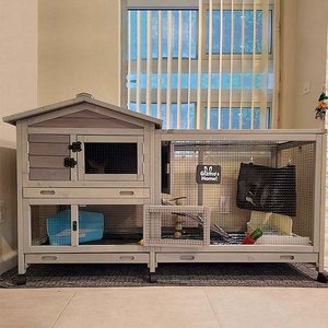 Aivituvin 33.5-in Indoor & Outdoor Ashpalt Roof Wheeled Rabbit Hutch