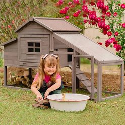 Aivituvin Rabbit Hutch & Chicken Coop, 39.4-in slide 2 of 8