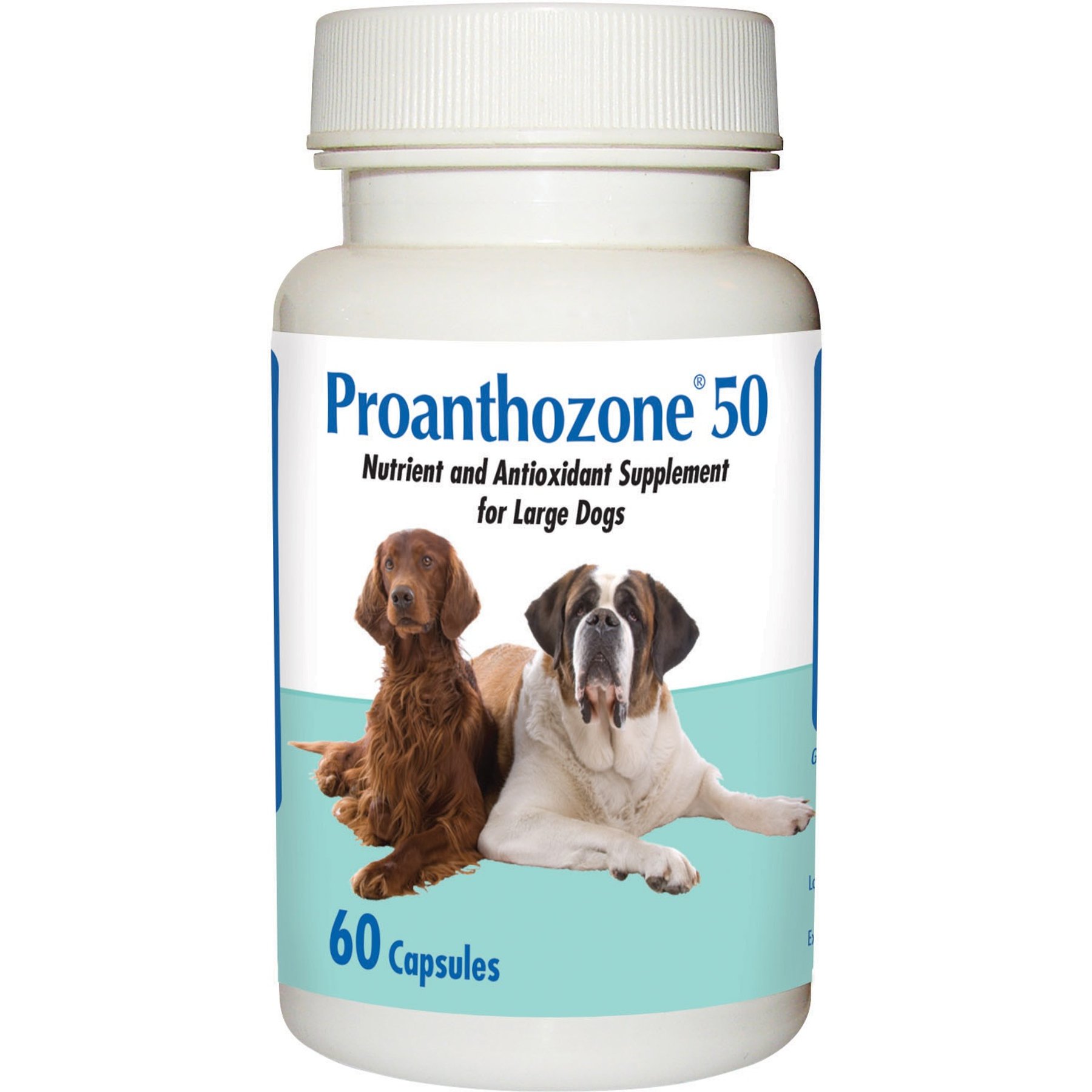Proanthozone Antioxidant 50 mg Capsule Supplement for Large Dogs, 60 count