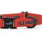 Show in main carousel: ShopInstaPets Illinois Fighting Illini Adjustable Dog Collar, Orange, Medium: 19-in neck, 3/4-in wide slide 4 of 5