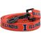 Show in main carousel: ShopInstaPets Illinois Fighting Illini Dog Leash, Orange, 6-ft long, 1-in wide slide 1 of 3