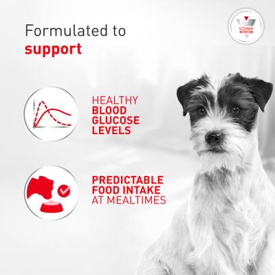 Show full view: Royal Canin Veterinary Diet Glycobalance Small Dog Adult Dry Dog Food, 8.8-lb bag slide 4 of 10