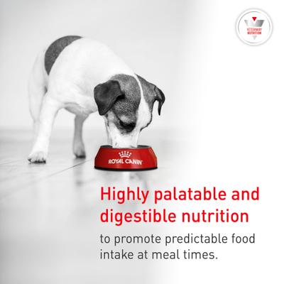 Show full view: Royal Canin Veterinary Diet Glycobalance Small Dog Adult Dry Dog Food, 8.8-lb bag slide 6 of 10