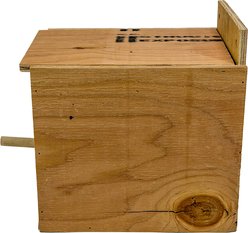 YML IWNB2 Inside Wooden Bird Nest Box, Large slide 2 of 4