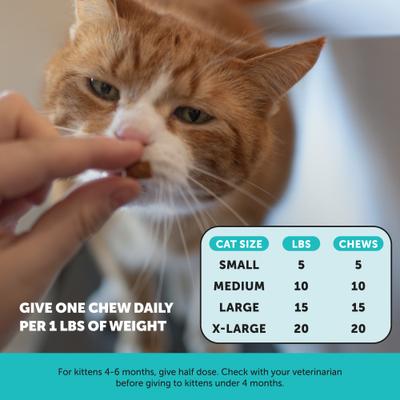 Show full view: Pet Honesty Dual Texture Chicken Flavored Chew Calming Supplement for Cats, 10.5-oz pouch slide 5 of 9