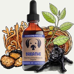 MycoDog Breathe Mushroom Extract & Adaptogen Blend Liquid Respiratory + Cardiovascular Supplement for Dogs, 2-fl oz bottle