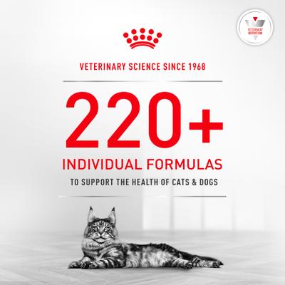 Show full view: Royal Canin Veterinary Diet Glycoadvanced Dry Cat Food, 8.8-lb bag slide 10 of 10