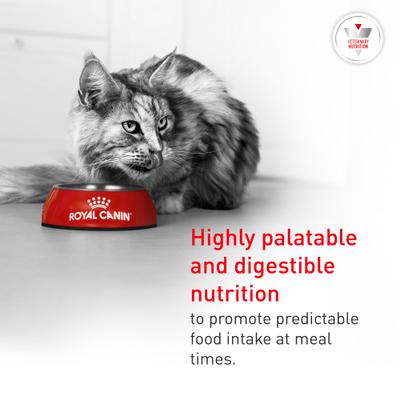 Show full view: Royal Canin Veterinary Diet Glycoadvanced Dry Cat Food, 8.8-lb bag slide 7 of 10