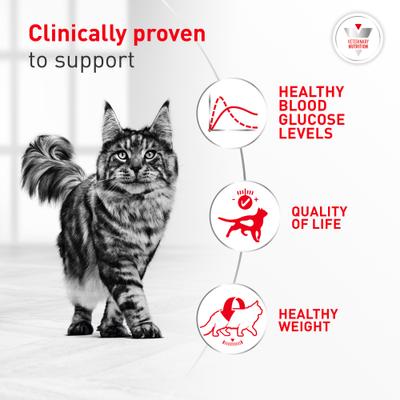 Show full view: Royal Canin Veterinary Diet Glycoadvanced Dry Cat Food, 8.8-lb bag slide 6 of 10