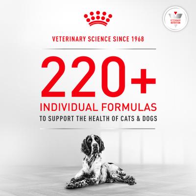 Show full view: Royal Canin Veterinary Diet Glycobalance Small Dog Adult Dry Dog Food, 8.8-lb bag slide 9 of 10