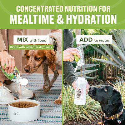 Show full view: Furvor Advanced Mobility Beef Concentrated Digestive Health High-Protein Liquid Dog Food Topper, 16-oz bottle slide 4 of 13