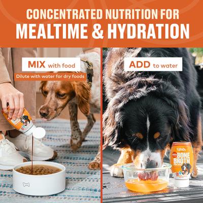 Show full view: Furvor Chicken Concentrated Bone Broth Digestive Health High-Protein Liquid Dog Food Topper, 16-oz bottle slide 4 of 13