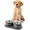 Show in main carousel: THE LICKER STORE Marbre Modern Weighted Double Marble & Stainless Steel Dog & Cat Bowl, Medium: 1.5-cup, Black/White slide 8 of 9