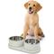 Show in main carousel: THE LICKER STORE Marbre Modern Weighted Double Marble & Stainless Steel Dog & Cat Bowl, Medium: 1.5-cup, White slide 7 of 8