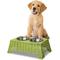 Show in main carousel: THE LICKER STORE Serenity 6.9-in Elevated Dog & Cat Wicker with Two Stainless Steel Bowls, Medium: 2.2-cup, Light Green slide 6 of 7