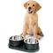 Show in main carousel: THE LICKER STORE Marbre Modern Weighted Double Marble & Stainless Steel Dog & Cat Bowl, Medium: 1.5-cup, Green slide 7 of 8