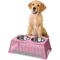 Show in main carousel: THE LICKER STORE Serenity 6.9-in Elevated Dog & Cat Wicker with Two Stainless Steel Bowls, Medium: 2.2-cup, Pink slide 5 of 6