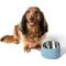 Show in main carousel: THE LICKER STORE Ripple Ridge Slanted Concrete & Stainless Steel Dog & Cat Bowl, Medium: 2-cup, Blue slide 7 of 8