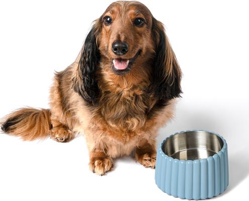 Show full view: THE LICKER STORE Ripple Ridge Slanted Concrete & Stainless Steel Dog & Cat Bowl, Medium: 2-cup, Blue slide 7 of 8