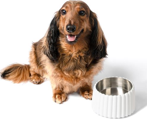Show full view: THE LICKER STORE Ripple Ridge Slanted Concrete & Stainless Steel Dog & Cat Bowl, Medium: 2-cup, White slide 7 of 8