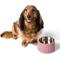 Show in main carousel: THE LICKER STORE Ripple Ridge Slanted Concrete & Stainless Steel Dog & Cat Bowl, Medium: 2-cup, Pink slide 7 of 8