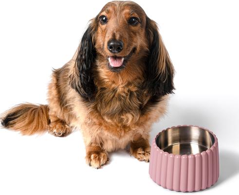 Show full view: THE LICKER STORE Ripple Ridge Slanted Concrete & Stainless Steel Dog & Cat Bowl, Medium: 2-cup, Pink slide 7 of 8