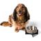 Show in main carousel: THE LICKER STORE Intersecta Concrete & Stainless Steel Dog & Cat Bowl with Metal Stand, Medium: 2-cup, Brown/Black slide 8 of 9