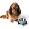 Show in main carousel: THE LICKER STORE Intersecta Concrete & Stainless Steel Dog & Cat Bowl with Metal Stand, Medium: 2-cup, Blue/Black slide 8 of 9