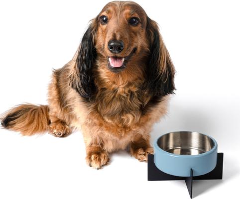 Show full view: THE LICKER STORE Intersecta Concrete & Stainless Steel Dog & Cat Bowl with Metal Stand, Medium: 2-cup, Blue/Black slide 8 of 9