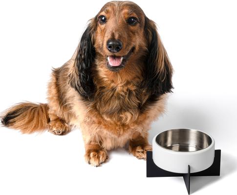 Show full view: THE LICKER STORE Intersecta Concrete & Stainless Steel Dog & Cat Bowl with Metal Stand, Medium: 2-cup, White/Black slide 7 of 8