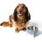 Show in main carousel: THE LICKER STORE Intersecta Concrete & Stainless Steel Dog & Cat Bowl with Metal Stand, Medium: 2-cup, Blue/White slide 8 of 9
