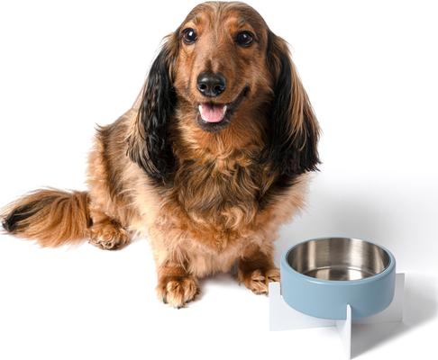 Show full view: THE LICKER STORE Intersecta Concrete & Stainless Steel Dog & Cat Bowl with Metal Stand, Medium: 2-cup, Blue/White slide 8 of 9