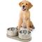 Show in main carousel: THE LICKER STORE Marbre Modern Weighted Double Marble & Stainless Steel Dog & Cat Bowl, Medium: 1.5-cup, Gray/Brown slide 7 of 8