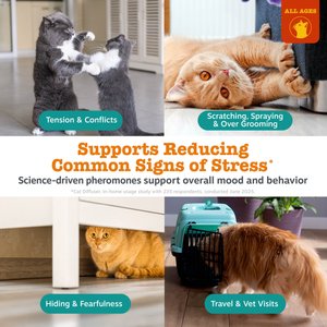 Zesty Paws 30 Day Starter Kit Calming Diffuser for Cats, 1-fl oz bottle
