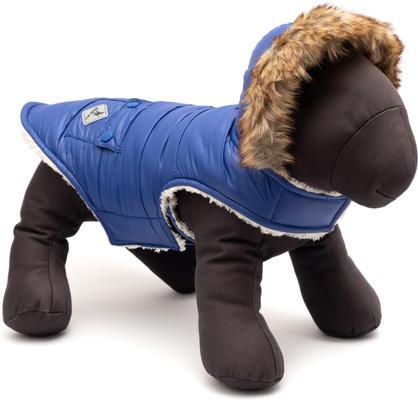 Show full view: The Worthy Dog Park City Dog Jacket, Royal, Medium slide 2 of 3