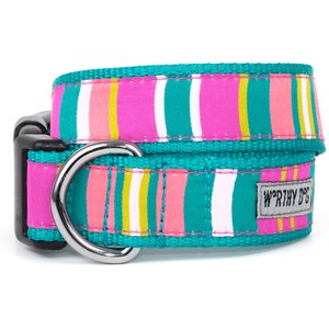 The Worthy Dog Fiesta Stripe Dog Collar, Teal Multicolored, X-Small: 5 to 11-in neck, 1/2-in wide