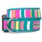 Show in main carousel: The Worthy Dog Fiesta Stripe Dog Collar, Teal Multicolored, Large: 14 to 20-in neck, 1-in wide slide 1 of 3