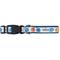 Show in main carousel: The Worthy Dog Fishy Dog Collar, Blue, Medium: 11 to 17-in neck, 1-in wide slide 2 of 3