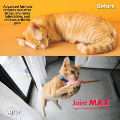 JointMAX TS Liquid Concentrate Chicken Flavor Supplement for Cats, 2-fl oz bottle slide 2 of 8