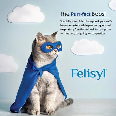 Show full view: Felisyl PLUS L-Lysine Feline Immunity Liquid Concentrate Chicken Flavor Supplement for Cats, 2-fl oz bottle slide 10 of 10