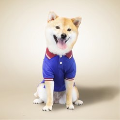 Kanine Dog Polo Shirt, Sodalite Blue, Large slide 2 of 2